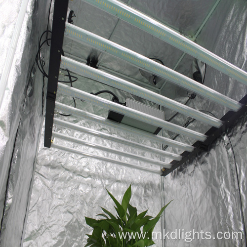 Best Selling LED 600W 8bar Grow Light